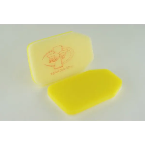 Filtro aria a doppio strato-10114021