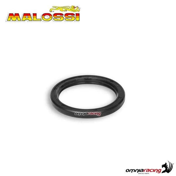 Paraolio Malossi diametro 35X44X4 per variatore multivar 2000