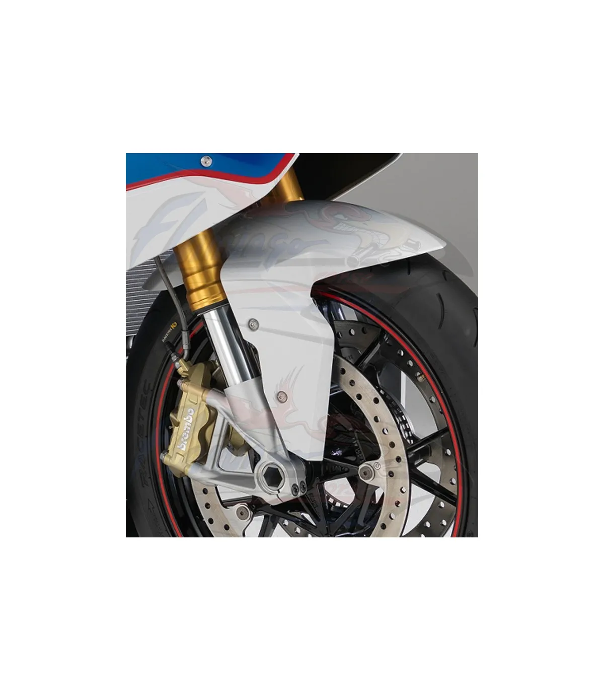 Parafango Anteriore Vetroresina BMW S 1000 RR 2015 - 2018