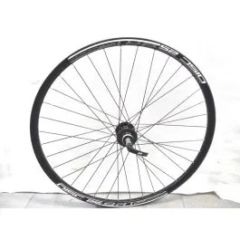 Ruota bii 29 mtb nera posteriore - mozzo filettato - per freno a disco 6 fori