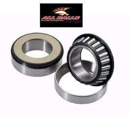 cuscinetti sterzo + paraoli honda