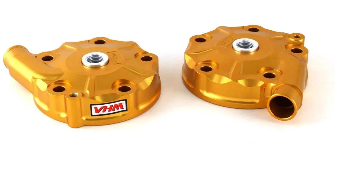 Teste VHM con cupole scomponibili per Suzuki RGV gamma 250 vj23 97-98